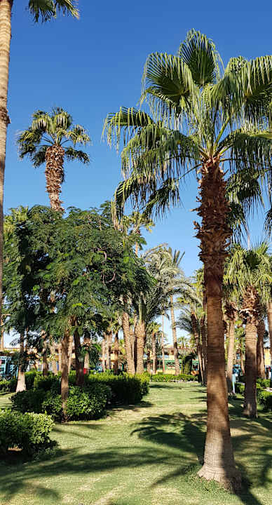 Gartenanlage Giftun Azur Resort