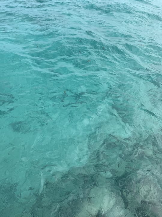 Strand Summer Island Maldives