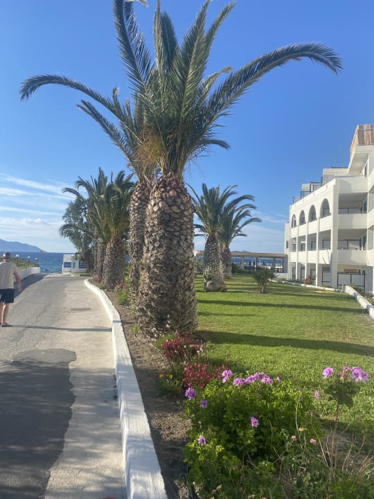 Gartenanlage Smy Kos Beach & Splash
