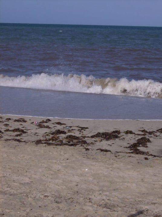 Strand/Meer Zita Beach Resort