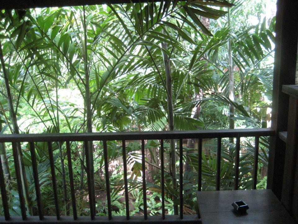Ausblick in den Garten Buri Rasa Village Samui Adults Only Resort