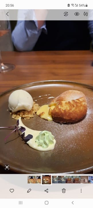 Gastro Acanthus Cennet Barut Collection