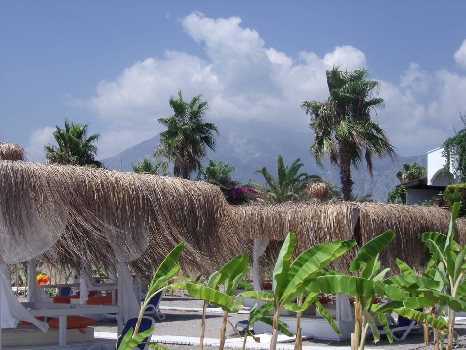 Pavllions zum mieten Emelda Sun Club