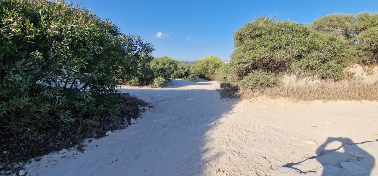 Strand Asterias Beach