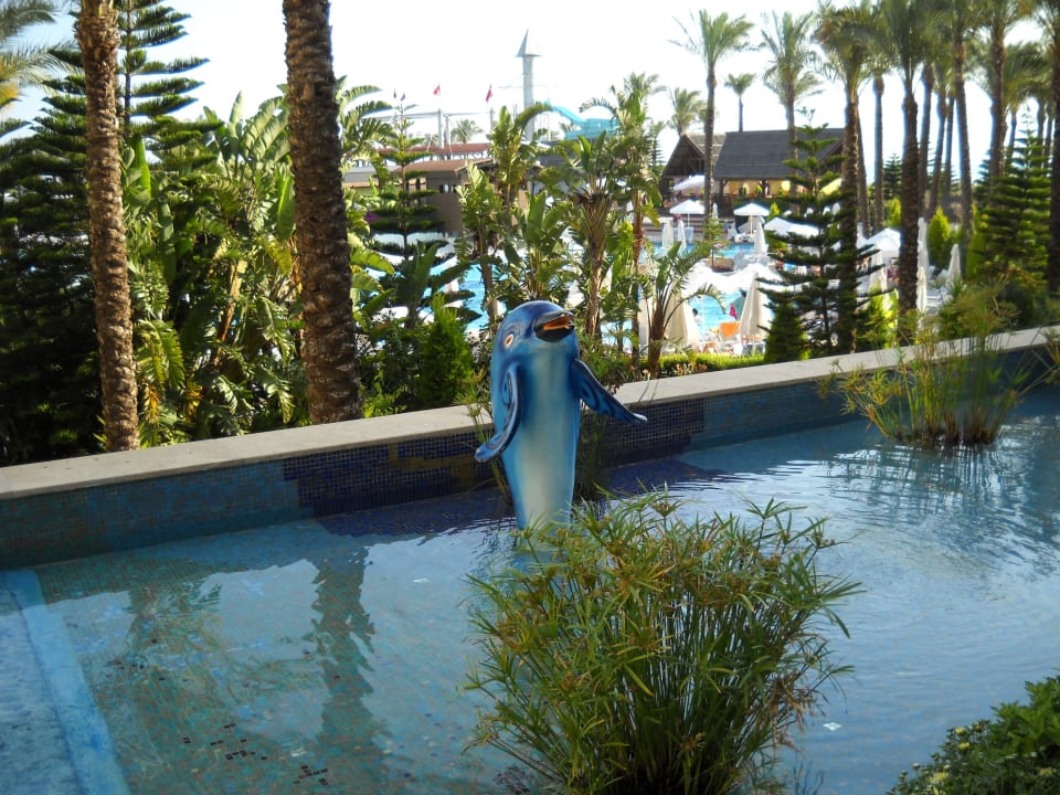 Вид из бара Hotel Delphin Imperial