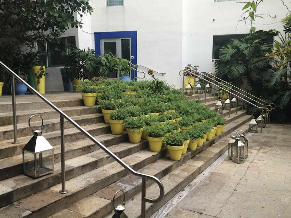 Gartenanlage Hotel The Shore Club