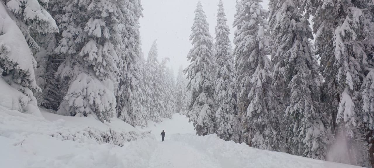 Ausblick Hotel Planaihof