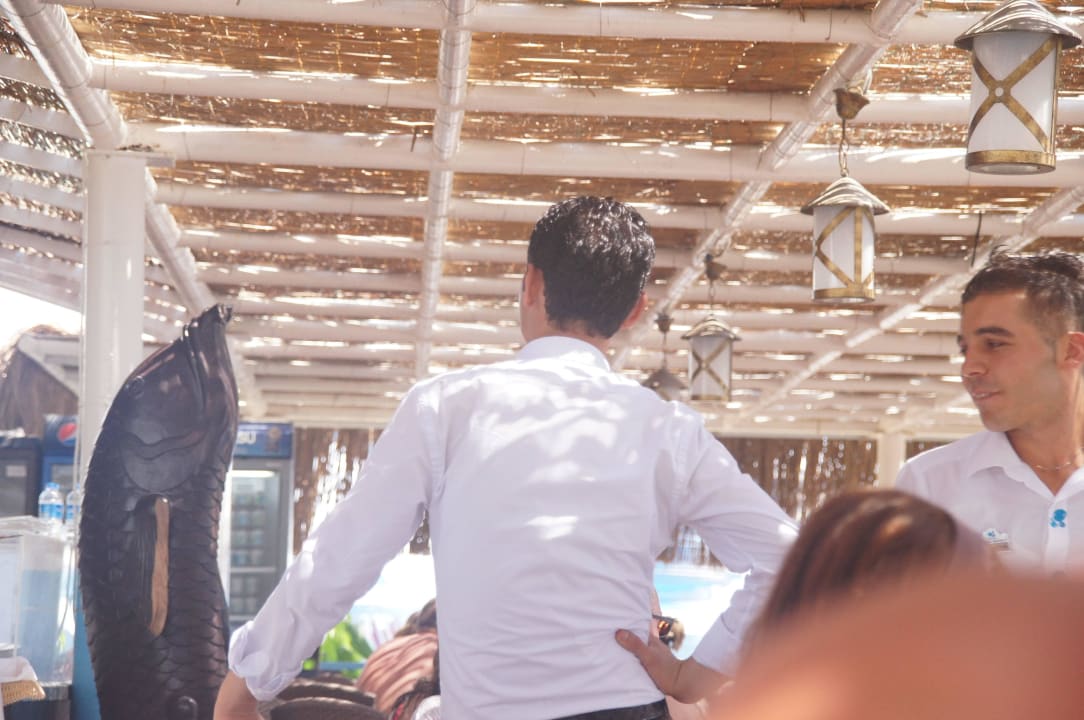 Bandyci się odwrócili Crystal Admiral Aqua Collection