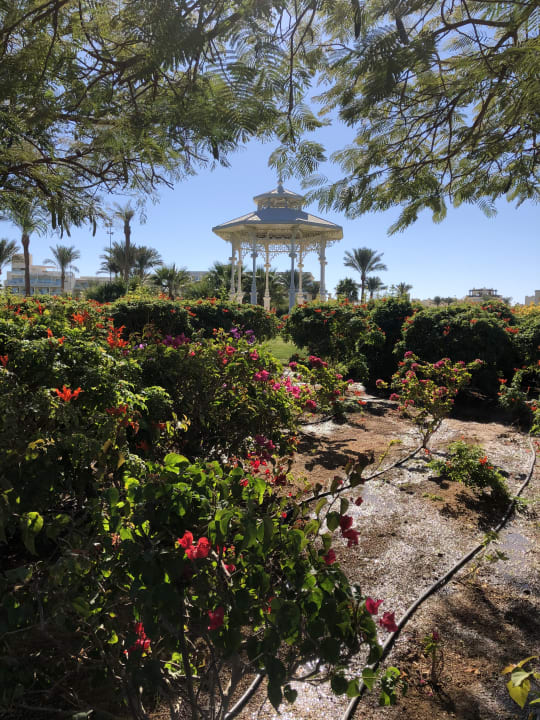 Gartenanlage Steigenberger ALDAU Beach Hotel