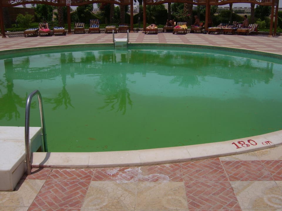 Pool am Tage  Riviera Aqua Park Resort