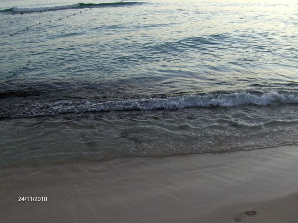 Steinplatten Hotel Viva Dominicus Palace by Wyndham-All Inclusive Resort