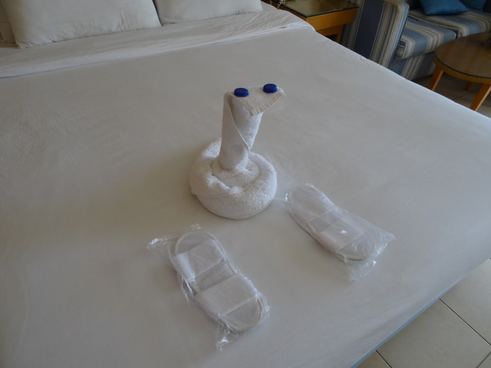 Zimmer Parrotel Beach Resort