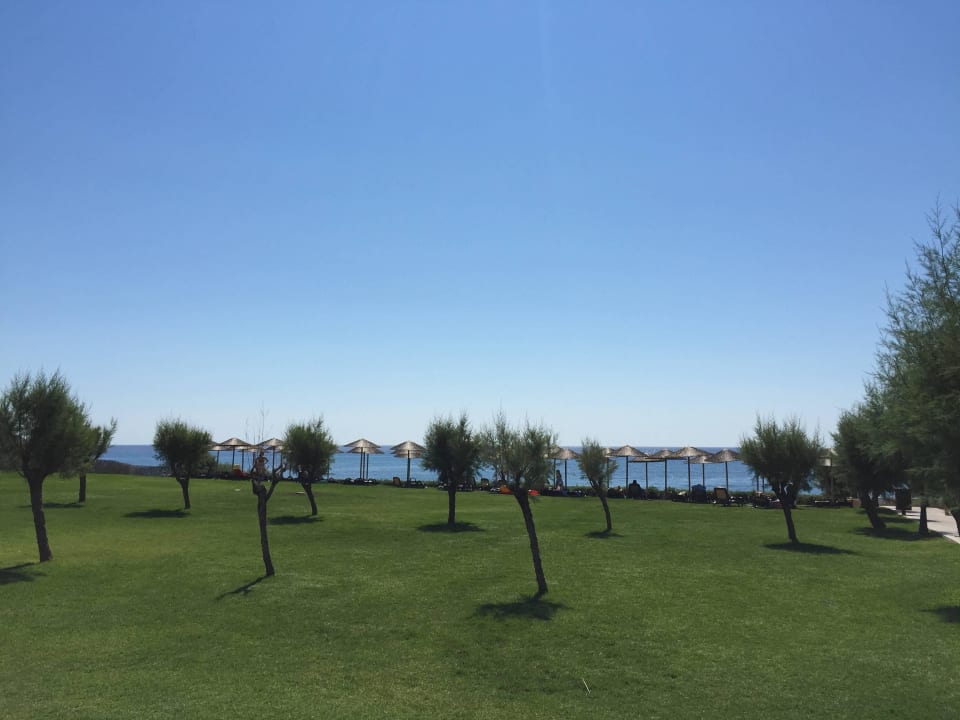 Teren zielony przy plaży Atlantica Aegean Blue