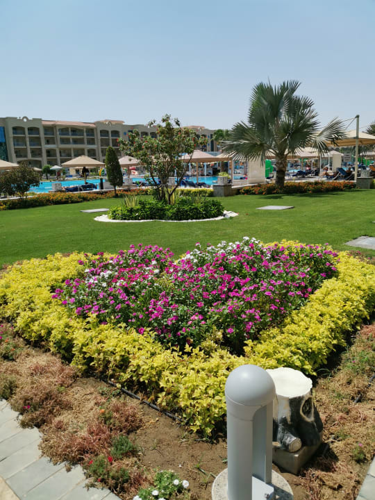 Gartenanlage Pickalbatros White Beach Resort - Hurghada