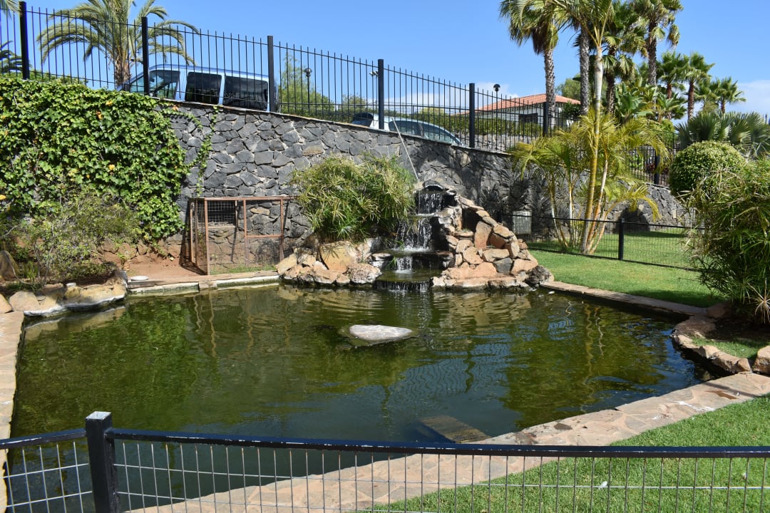 "Schöner Teich mit Überras..." Hotel Las Aguilas, Affiliated by Meliá