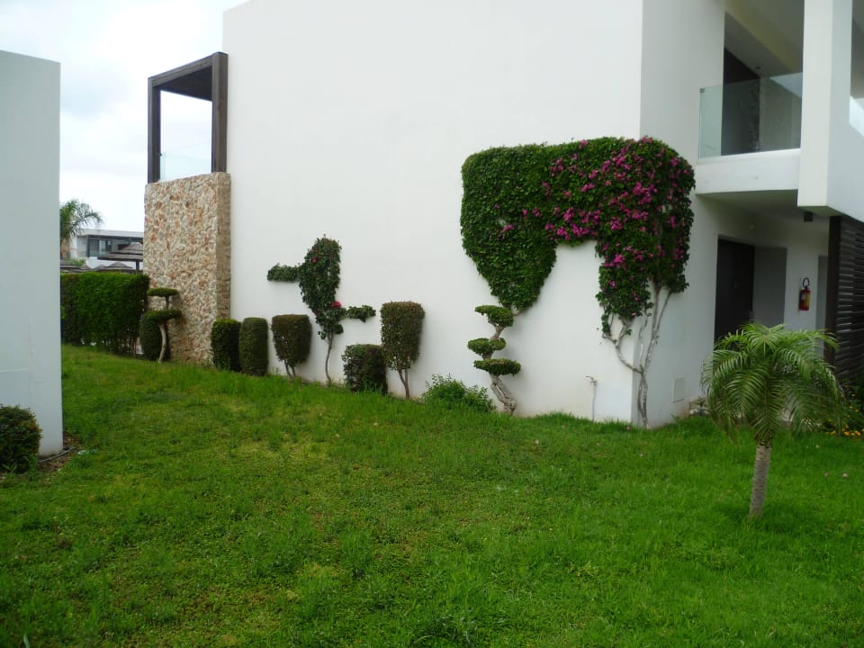 Prachtig onderhouden beplanting TUI BLUE Palazzo del Mare