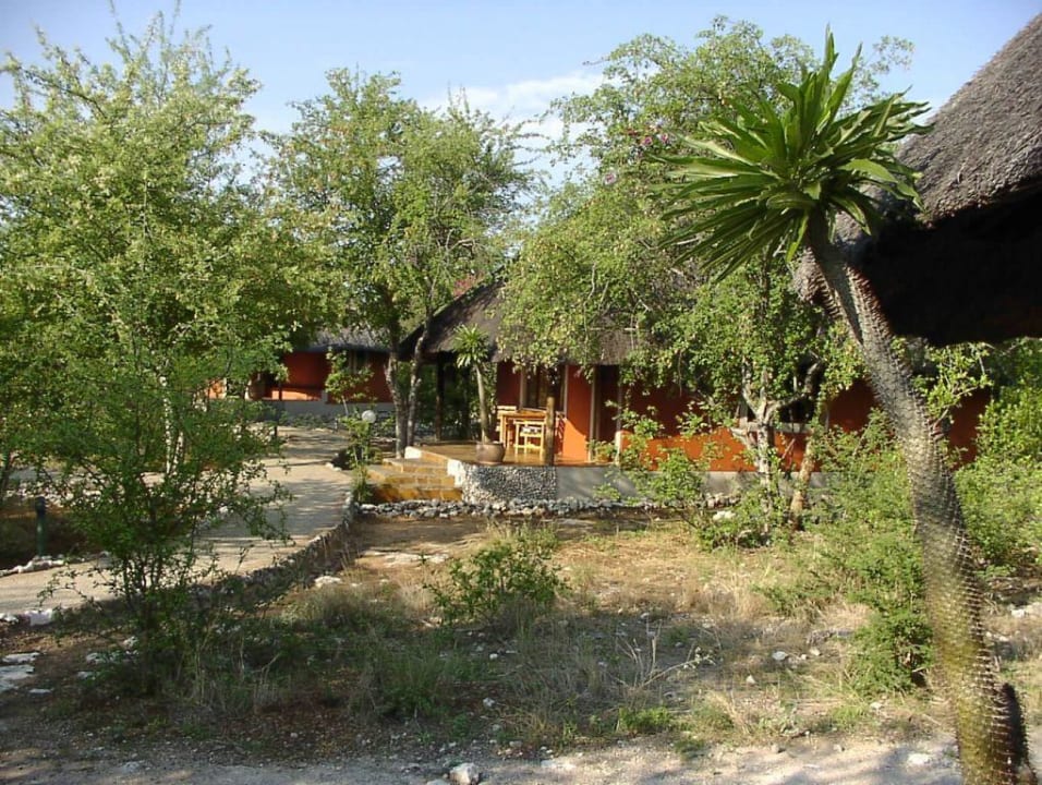 Bungalow Hotel Mushara Lodge