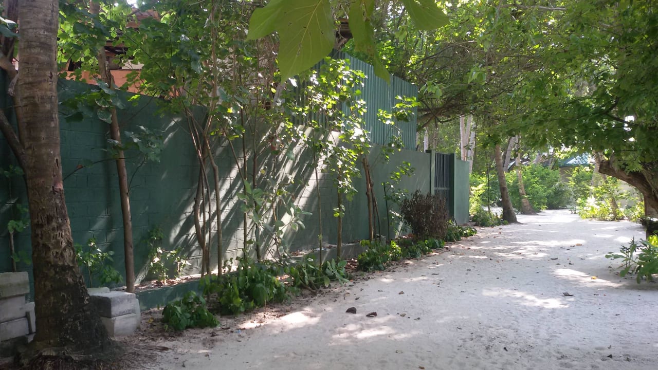 Umfeld der Gartenbungis Summer Island Maldives