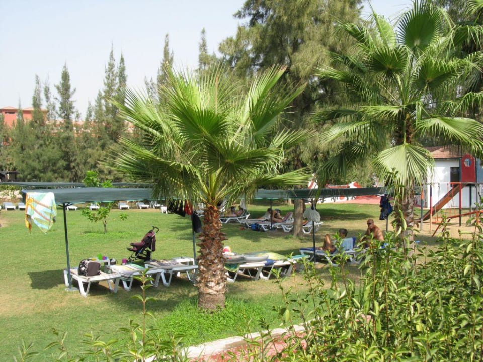 Liegewiese Club Sidelya Hotel
