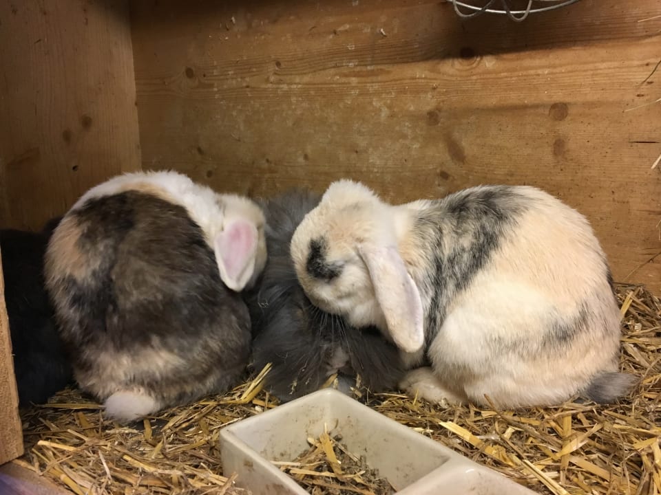 Sonstiges Babyhotel Babymio