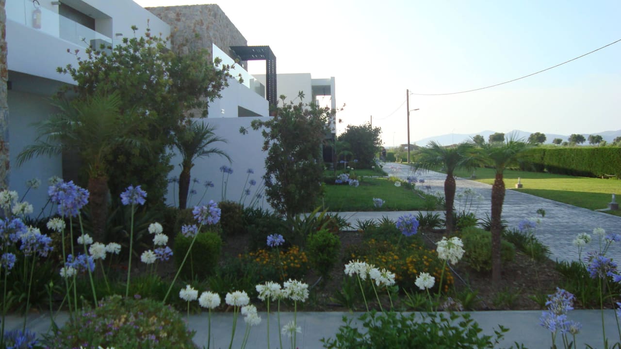 Weg zum Zimmer  TUI BLUE Palazzo del Mare