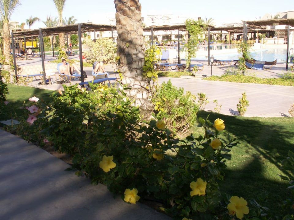 Blick zum Active Pool TUI MAGIC LIFE Kalawy