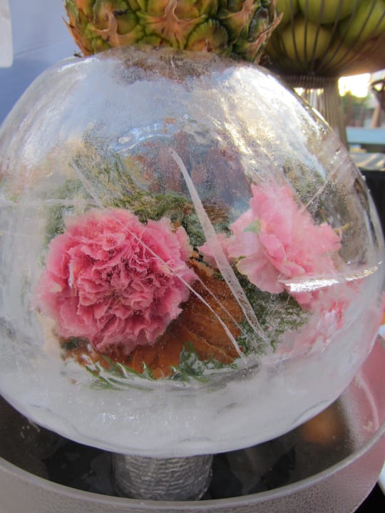 Blumen im Eis Alaiye Resort & Spa