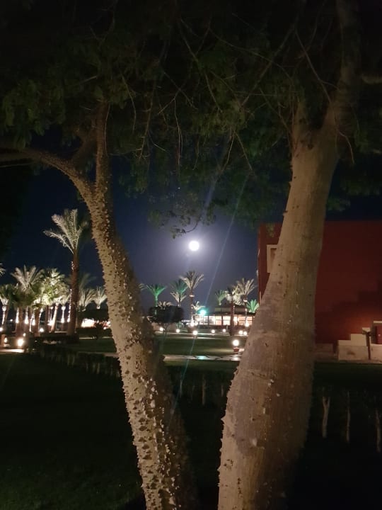Garten Casa Mare Resort