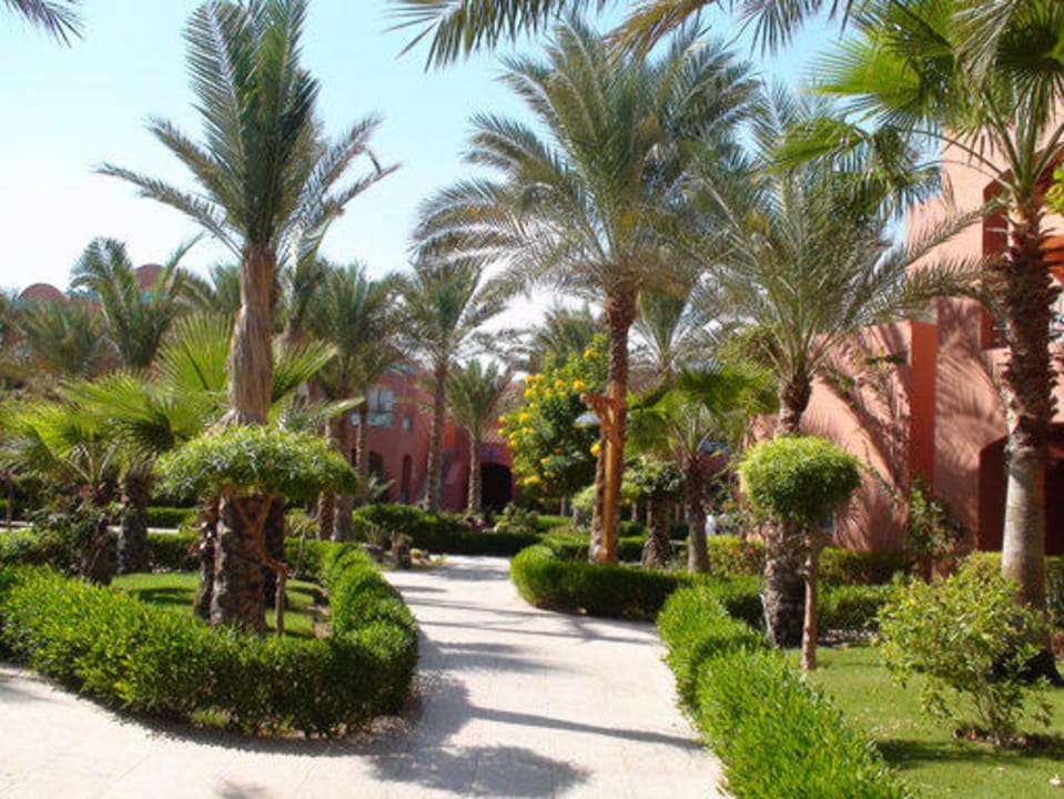Garten TUI MAGIC LIFE Redsina Sharm El Sheikh