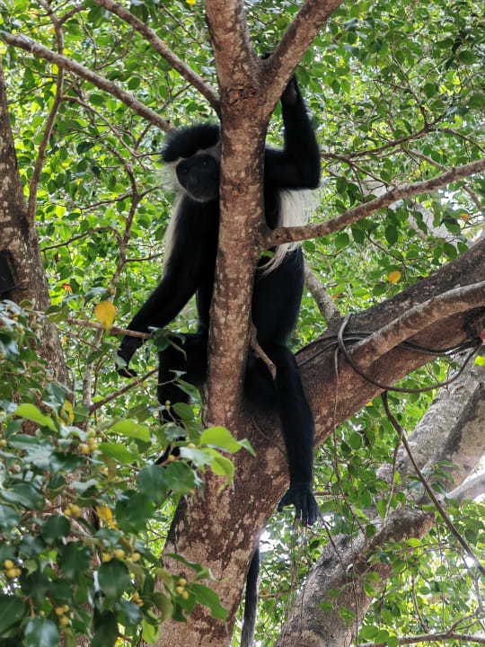 Gartenanlage Hotel Papillon Lagoon Reef