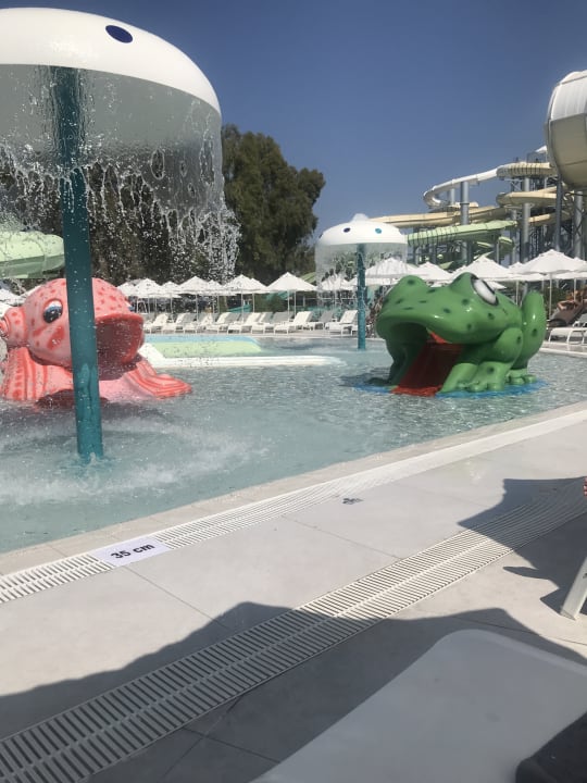 Sport & Freizeit Paloma Finesse