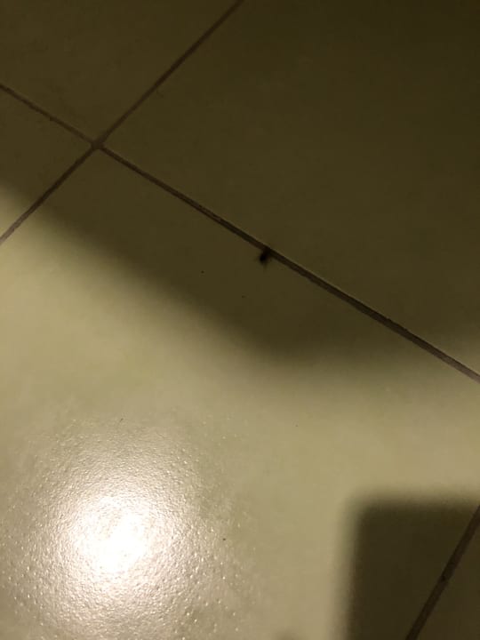 Zimmer Hotel Orfeus Park