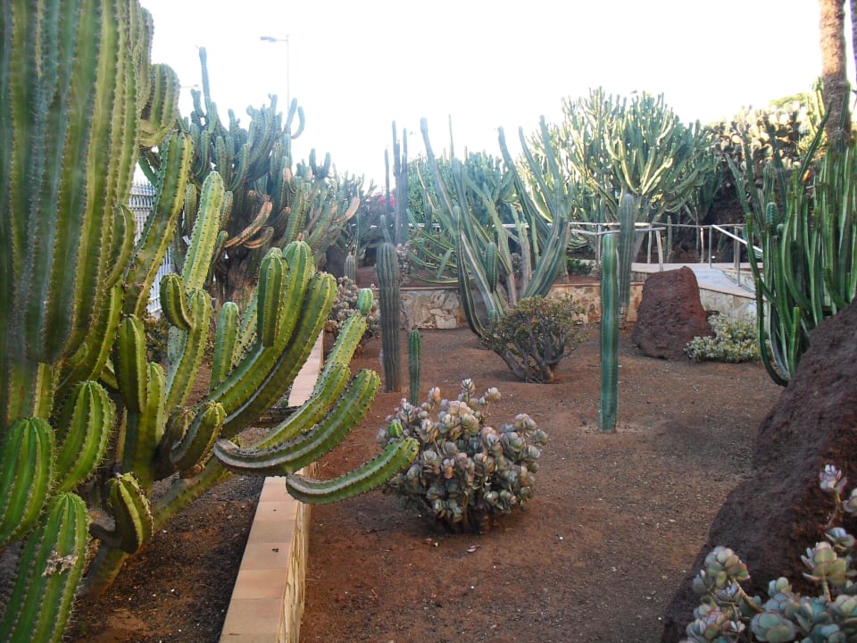 Kakteengarten Hotel Europalace