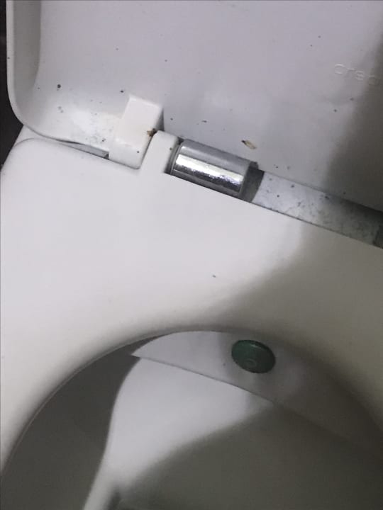 Sonstiges Well Palace Side