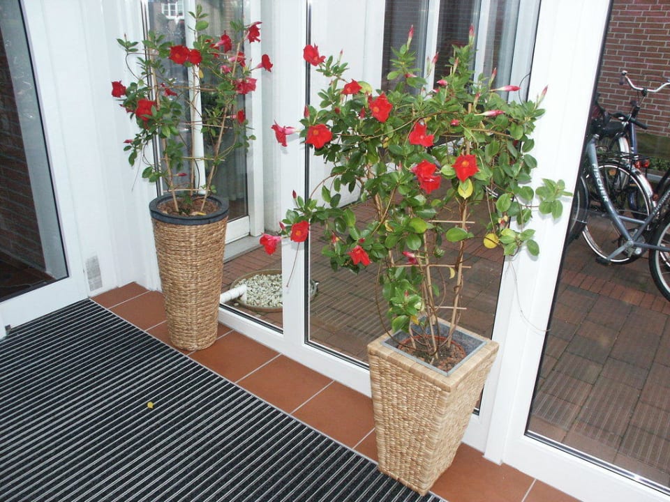 Blumenarragment Hotel Flörke