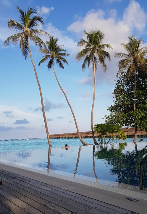 Pool Meeru Maldives Resort Island