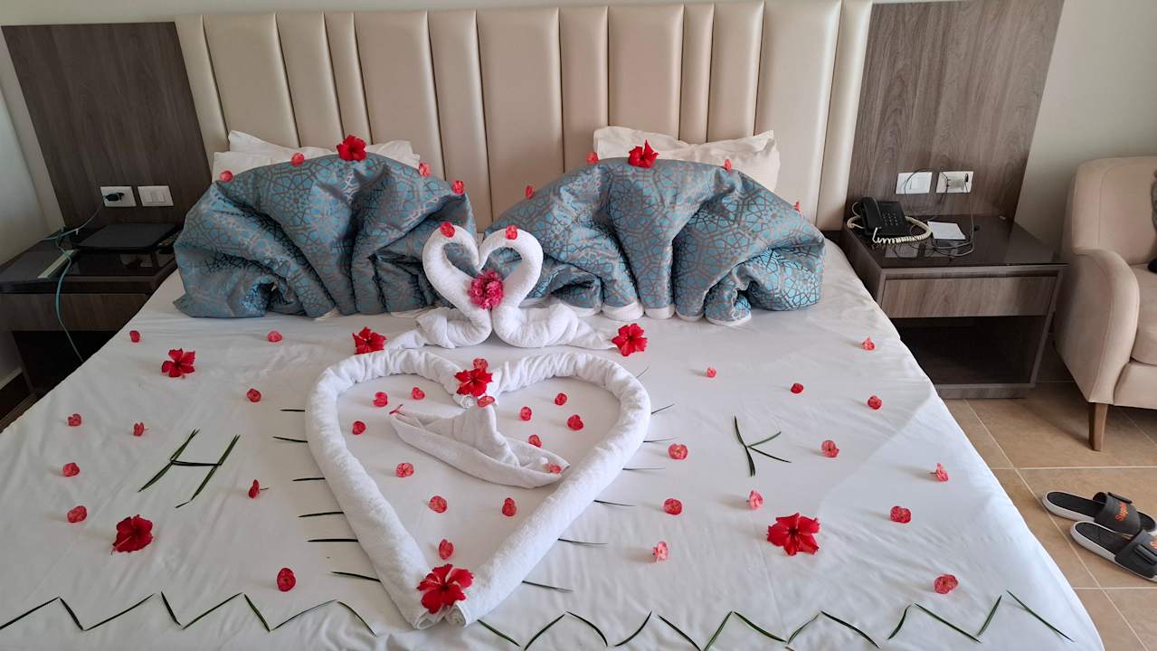 Zimmer Pickalbatros Palace Resort