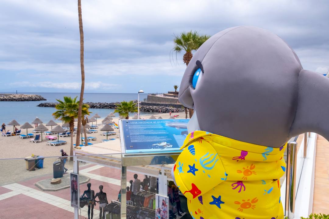 Außenansicht HOVIMA La Pinta Beachfront Family Hotel