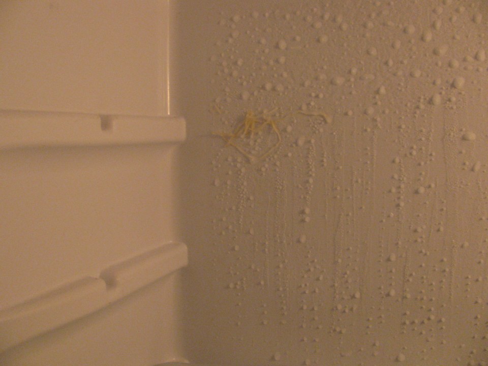 Küche - schmutziger "stinkender" Kühlschrank Fewo 2.5 Haus Arkonablick