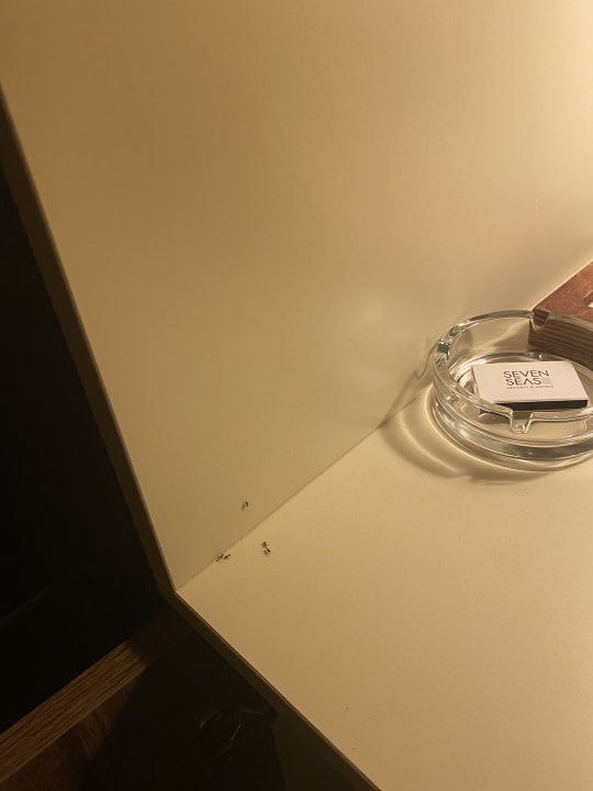 Zimmer Monachus Family Resort Sorgun