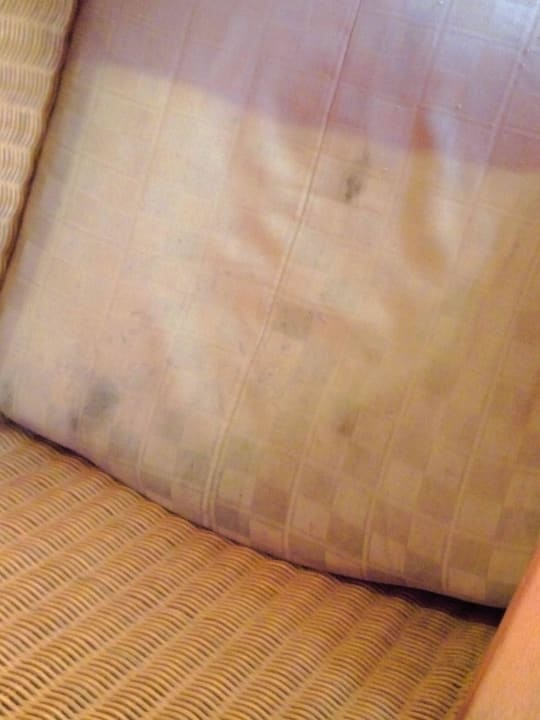 Polster der Sitzmöbel im Frühstücksbereich Hotel Bayside Inn Key Largo