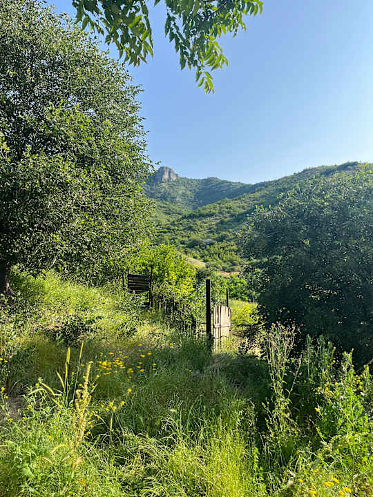 Gartenanlage Cypress guesthouse