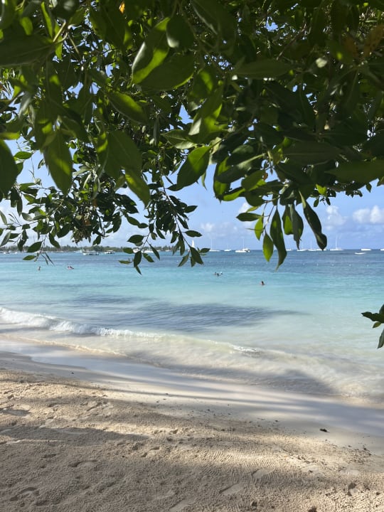 Strand Secrets La Romana Resort & Spa - Adult Only