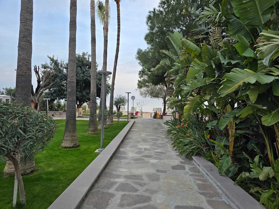 Sonstiges Arum Barut Collection
