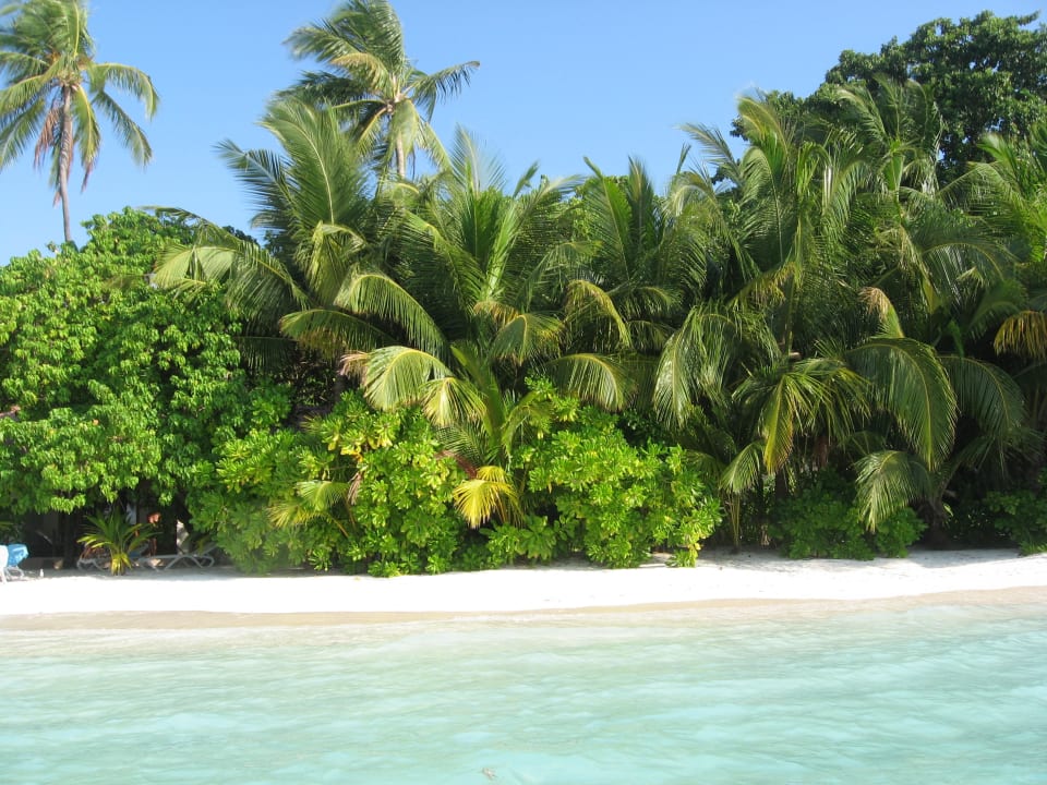 Blick auf die Insel Kuramathi Maldives