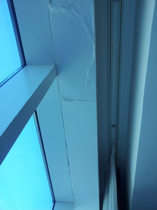 Wasserschäden The Canvas Hotel Dubai MGallery By Sofitel