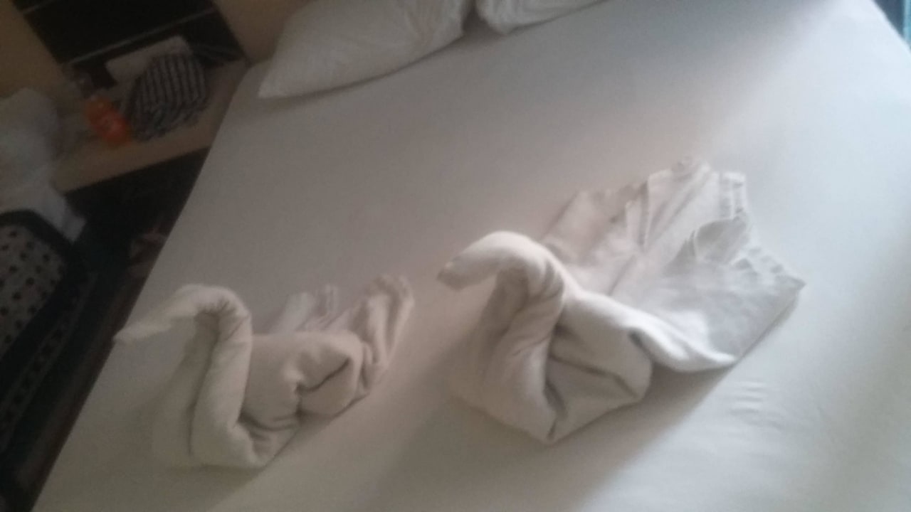 Zimmer 207 Kleopatra Balik