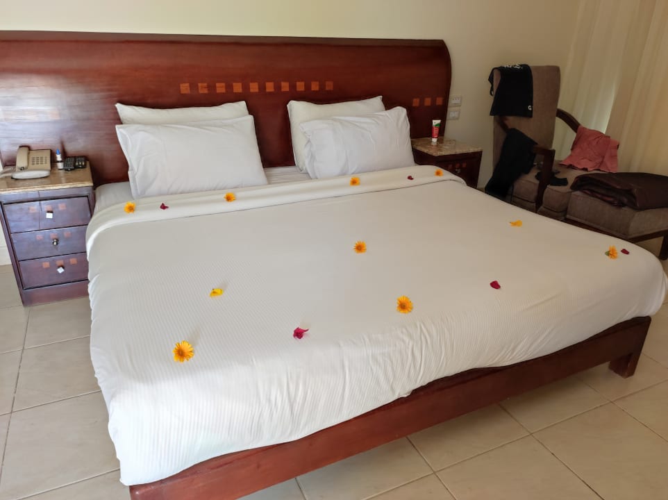 Zimmer Shams Prestige Abu Soma-Adults Only