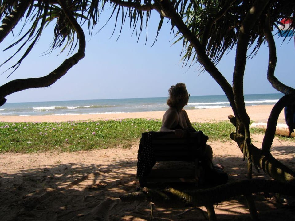 Schattenplatz am Strand Wunderbar Beach Club Hotel