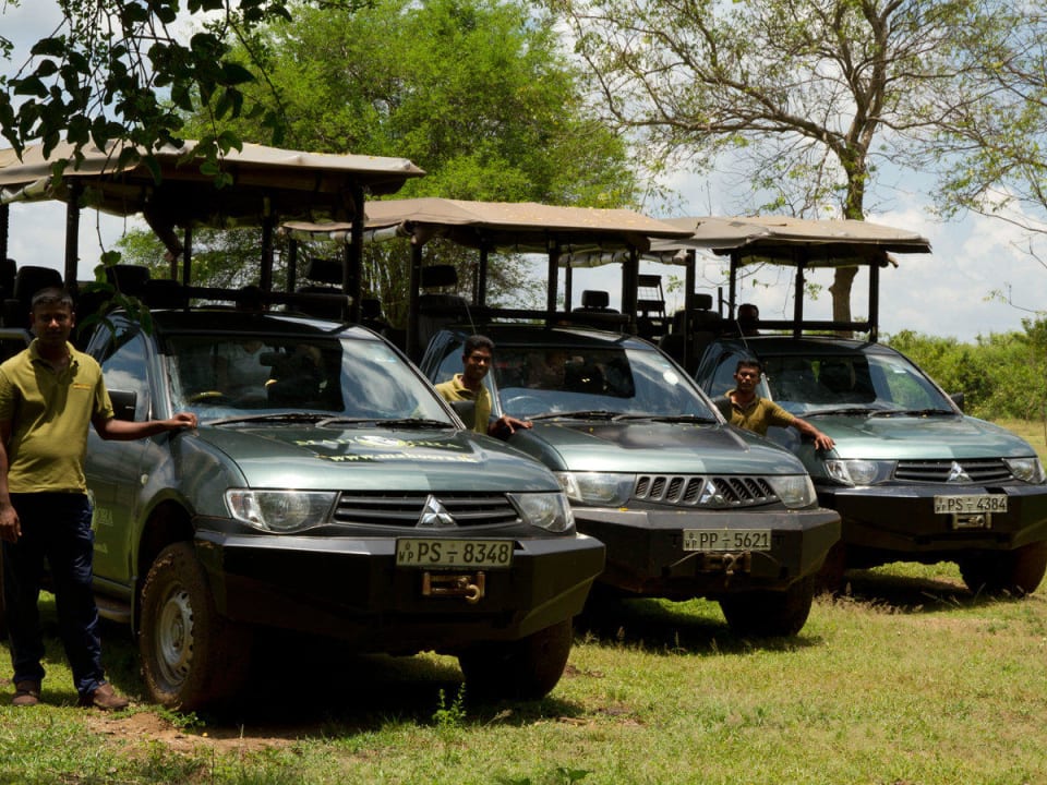 Mahoora Safari Jeeps Mahoora Tented Safari Camp - Yala